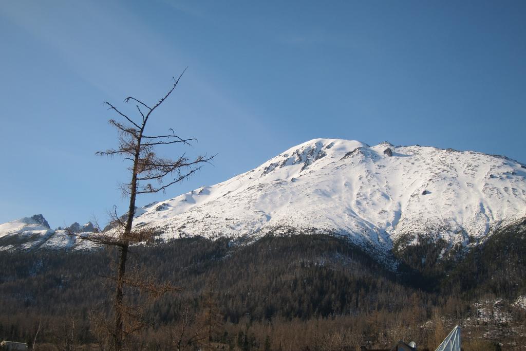 Apartman Novy Smokovec 75 Apartment Vysoke Tatry Ruang foto