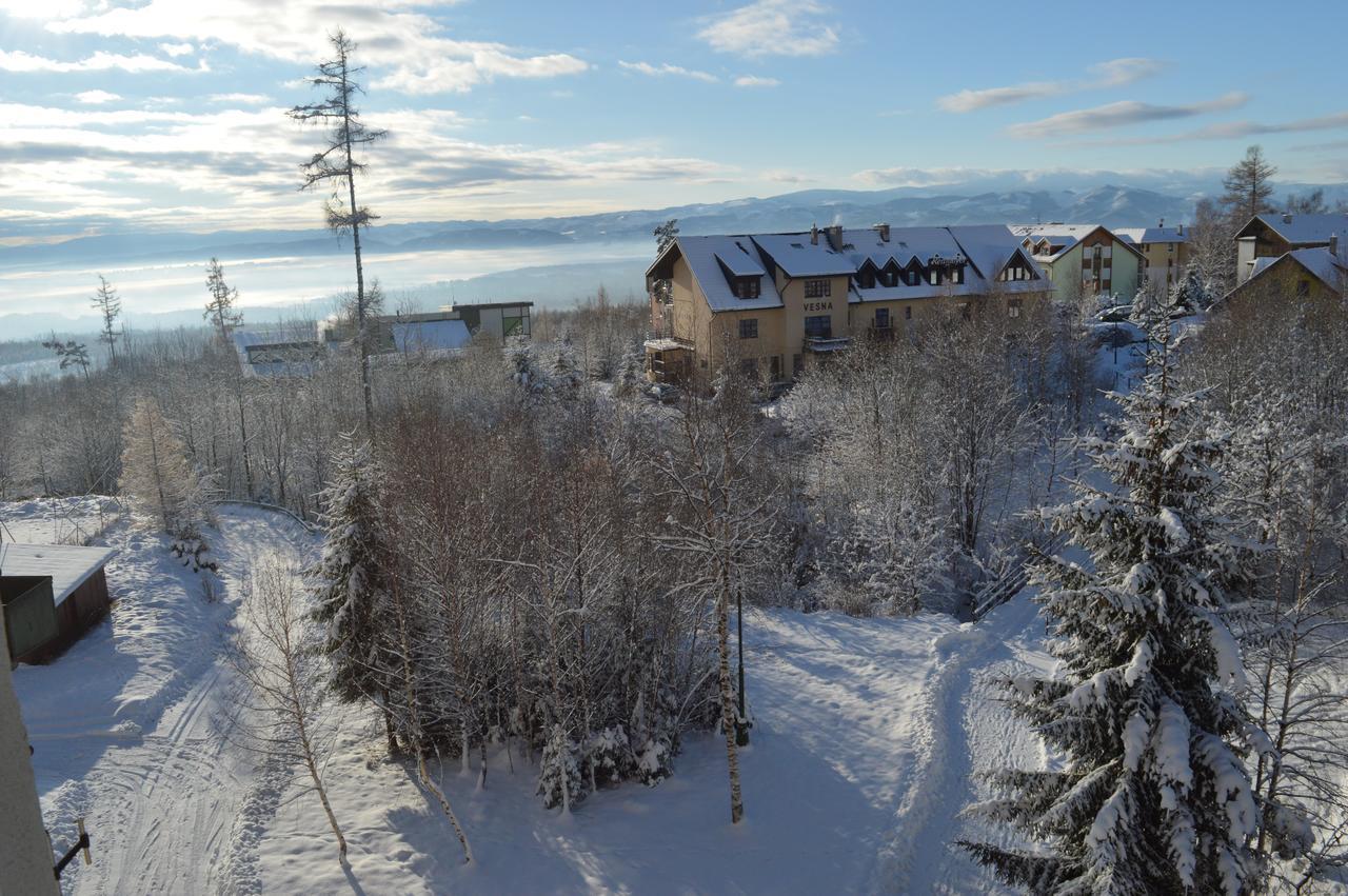 Apartman Novy Smokovec 75 Apartment Vysoke Tatry Bagian luar foto